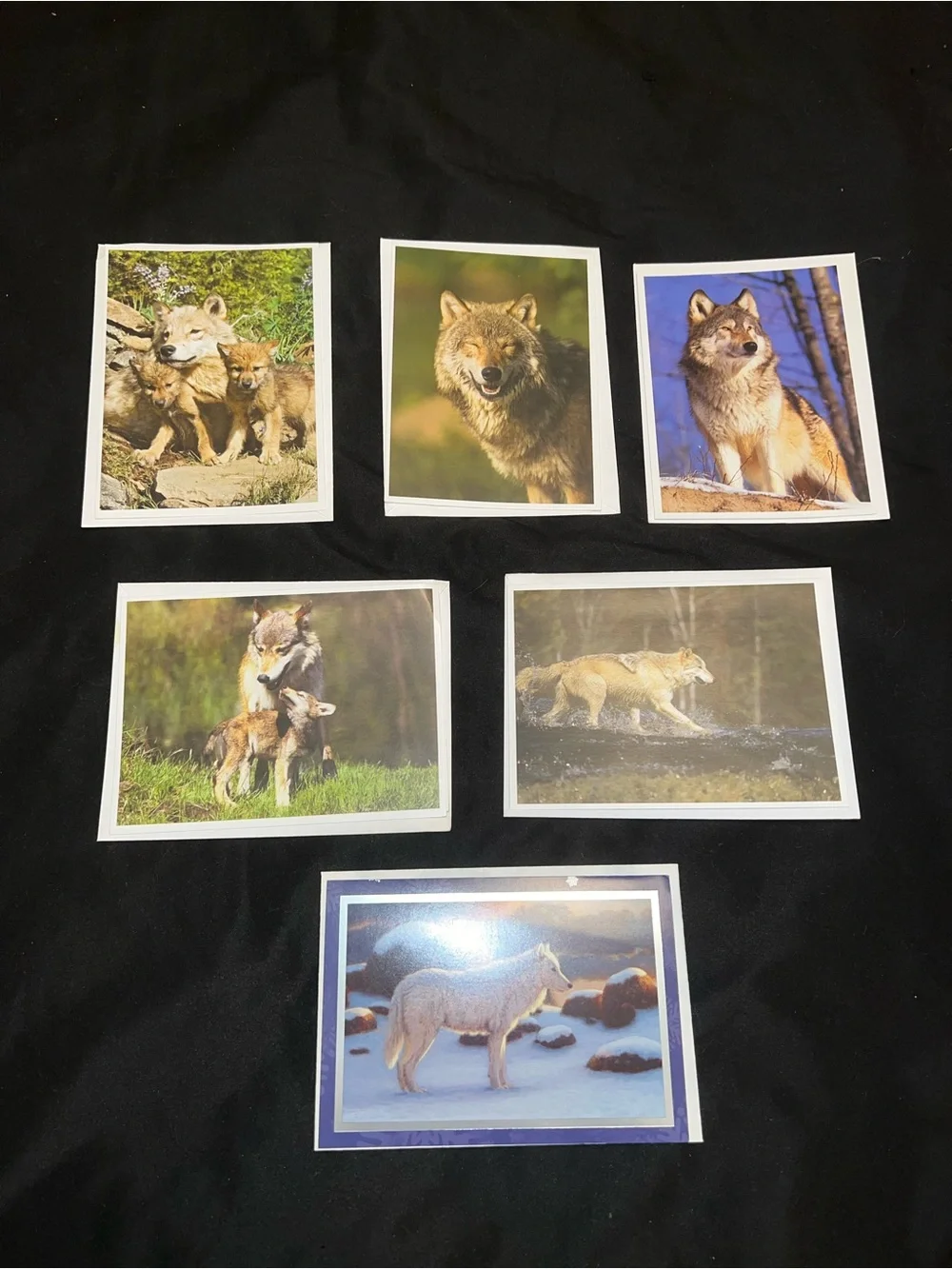 Wolf Greeting Card Bundle